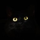 모두애동물병원 이미지