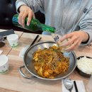 도그마 펫살롱 | 4월 3째주 기록