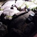 항호공원 이미지