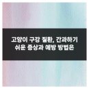 베베동물병원 이미지