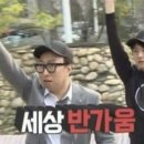 견생냥품 이미지