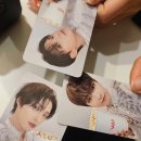 차 일상 (엑스디너리 히어로즈 Beautiful Mind 월드 투어 콘서트, 피크민,중증외상센터 덕질, 에이티즈...
