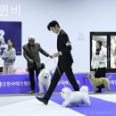 켄넬퀸비 이미지