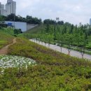 철쭉동산 이미지