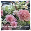 농협은행 안산시지부 앞 | 안산 꽃집 추천｜한대앞역 스프링왈츠더가든 어버이날 스승의날 카네이션 후기(알고보니 부케·프로포즈...