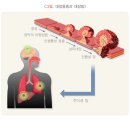 참약사레몬약국 이미지