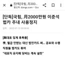 질문) 당직자들 이미지