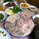 돌고래회수산 이미지