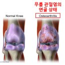 마모이룸 이미지