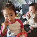 복하천 자전거대여소 | 이천 노지 캠핑 복하천 수변공원 부담없이 즐기기