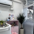 리치펫살롱 이미지