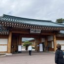 관저종로약국 네이버블로그