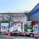 피키래빗 이미지