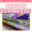 청주 충청 꽃 백화점 솔직 후기, 청주 셀프부케 성지 화훼 매장 방문기