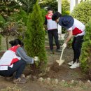 희망나무심기6 이미지