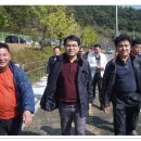 부림초등학교 이미지