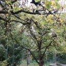 조근조근 민박 이미지