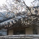 회연농장 이미지