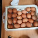 한울타리농장 이미지