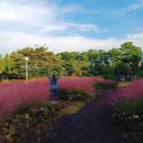 중문통나무가족호텔 이미지