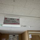 춘천성심약국 네이버블로그
