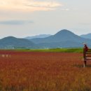 순천만풍경 이미지