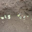 봉담농장 이미지