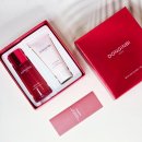 강화홍삼공사 | 피부 장벽 강화에 좋은 동인비 1899 싱글에센스 솔직 사용후기