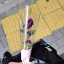 황제왕족발 이미지