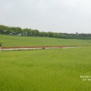 CU한라비발디 이미지