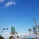 강현면사무소 이미지