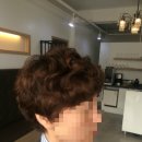 룩스오월