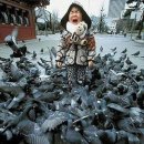 축원목장 이미지