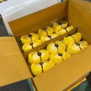 동산축산 | 1.16.명품귤의 시작과 끝_동산에,하례귤향