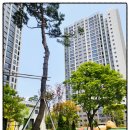 파크푸르지오공인중개사사무소 | 운정푸르지오파르세나 부동산 현명한 선택 파크푸르지오씨티 공인중개사사무소
