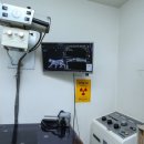 지산동물병원 이미지