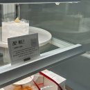 푼히 이미지