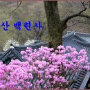 청련사 이미지