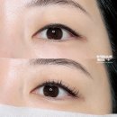 (주)아주 | 홍대 속눈썹펌 주라인눈썹 자연스러운 맞춤 컬 후기