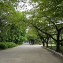 문화가 있는 날 <그림읽어주는 베토벤 이중섭> | 문화가있는날 국립현대미술관 덕수궁 전시 광복80주년기념 향수 고향을 그리다 후기
