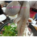 녹동세발낙지 이미지