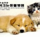 꿈이크는 동물병원 이미지