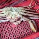 신나는대게파티 이미지