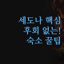 세도나 | 세도나 호텔 3곳 솔직 후기 | 여행 스타일별 완벽 비교 분석 | 암비엔테 더와일드 하얏트 | 후회 없는...