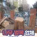 큰나무주유소 이미지