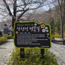 세븐일레븐 울산웅촌삼거리점 | 울산 울주 2026 축제 작천정 4월 실시간 벚꽃 정보 주차 꿀팁