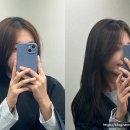 리파인헤어 이미지
