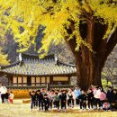아이사랑 - 용인시 기흥구 | 아이사랑
