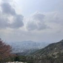 선거날 북악산 등반 후 삼청동, 청와대 구경