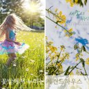 서세종IC(공주)